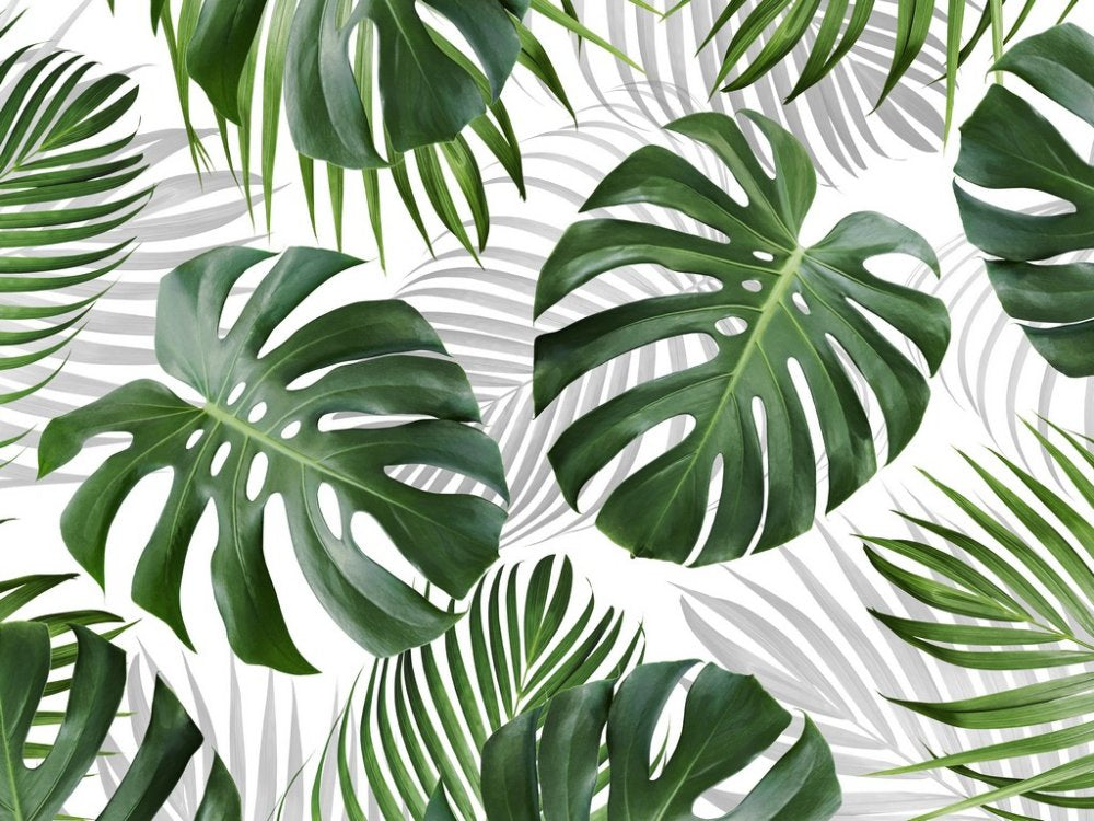Feuilles Tropicales