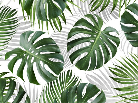 Feuilles Tropicales